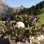 Aloa * Adelboden