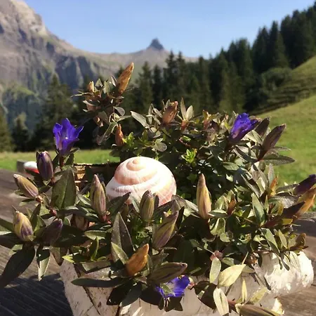 Aloa * Adelboden