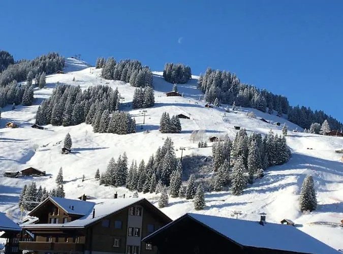 Aloa * Adelboden