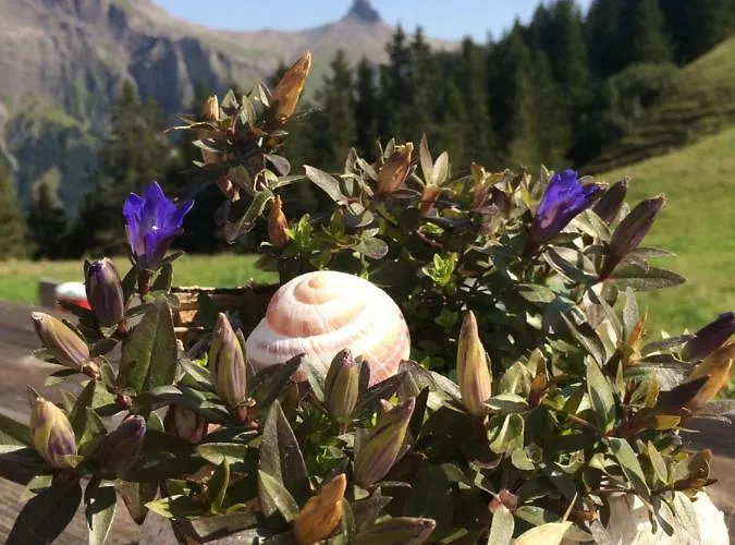 Aloa * Adelboden